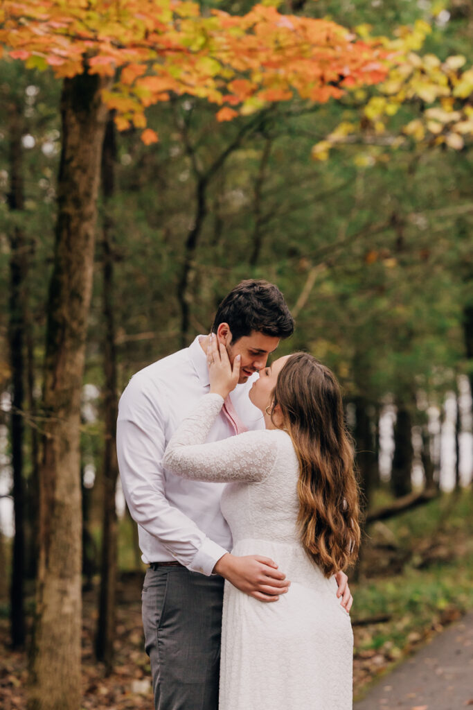 Long Hunter engagement photos