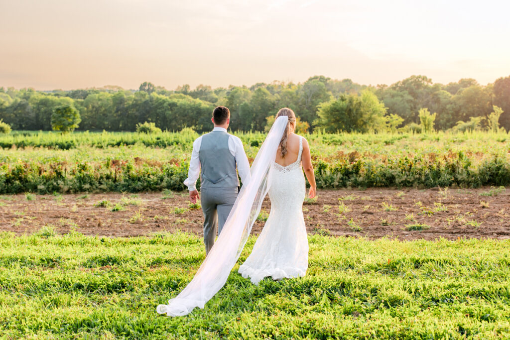 Bride and groom walking away hand in hand at Allenbrooke Farms